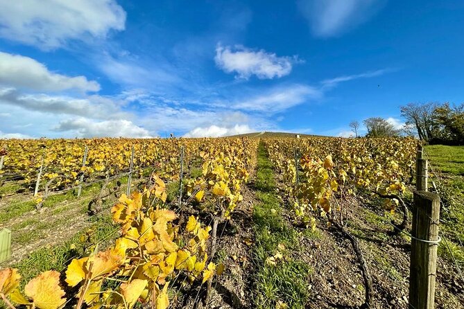 Reims: Small-Group Champagne Tour With Champagne Tastings and Lunch - Lunch With Regional Specialties