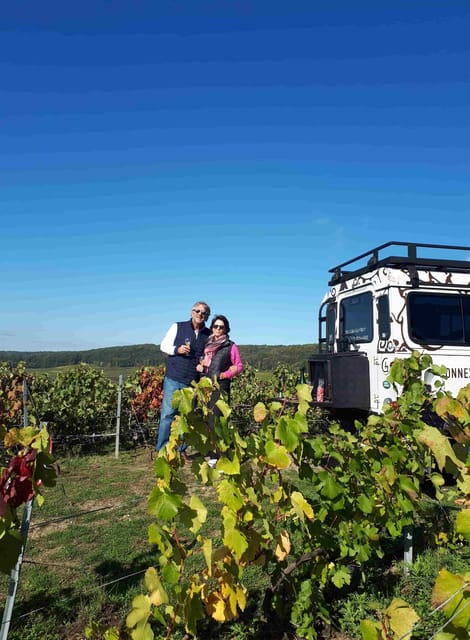 Reims: The Unmissable Tradition & Panoramic Tasting - Tasting Experience