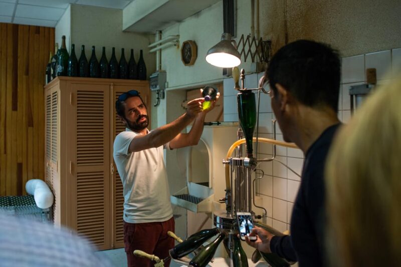 Reims: Veuve Clicquot and Family-Run Winery Day Tour & Lunch - Return