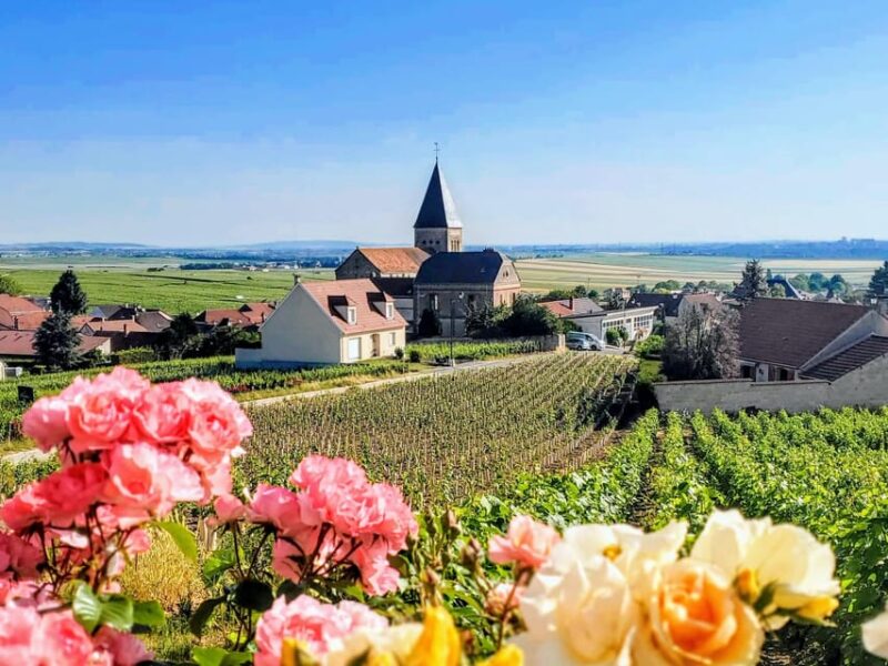 Reims: Veuve Clicquot Tasting Private Tour in Champagne - Transportation and Accessibility