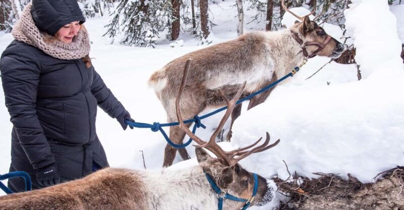 Reindeer and Heli Flightseeing Day Trip With Lunch - Itinerary and Schedule