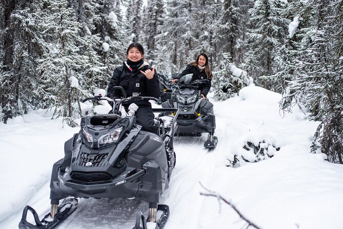 Reindeer and Snowmobile Day Trip to Borealis Basecamp With Lunch - Key Points