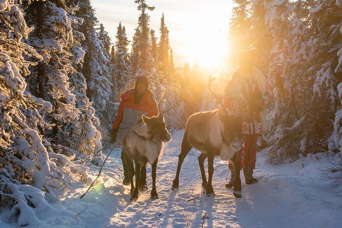 Reindeer and Snowmobile Day Trip to Borealis Basecamp With Lunch - Complimentary Activities
