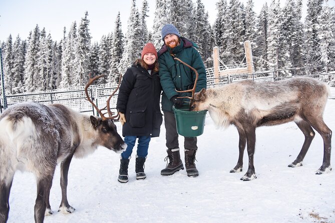 Reindeer and Snowmobile Day Trip to Borealis Basecamp With Lunch - Northern Lights Viewing