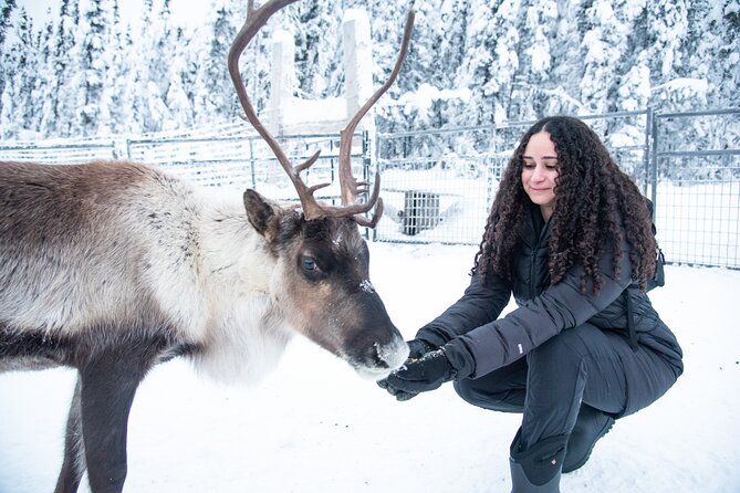 Reindeer and Snowmobile Day Trip to Borealis Basecamp With Lunch - Snowmobile Adventure
