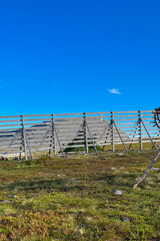 Reindeer and Stories: A Sami Cultural Adventure - Key Points