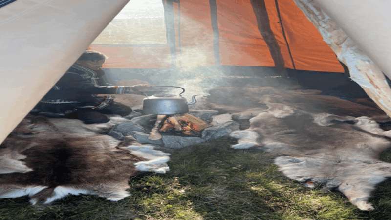 Reindeer and Stories: A Sami Cultural Adventure - Cultural Experience Highlights