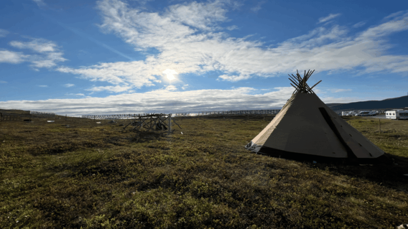 Reindeer and Stories: A Sami Cultural Adventure - Participant Reviews and Feedback