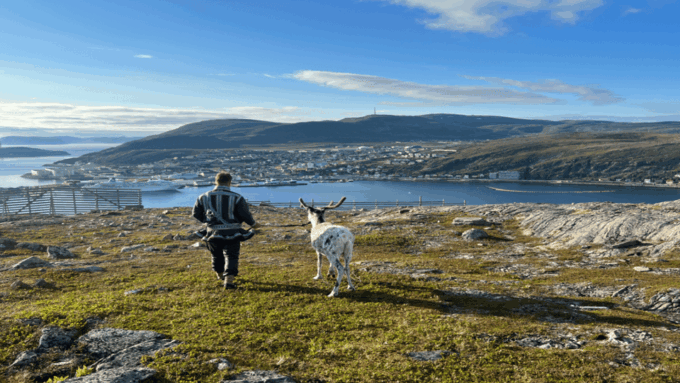 Reindeer and Stories: A Sami Cultural Adventure - Reindeer Feeding and Interaction