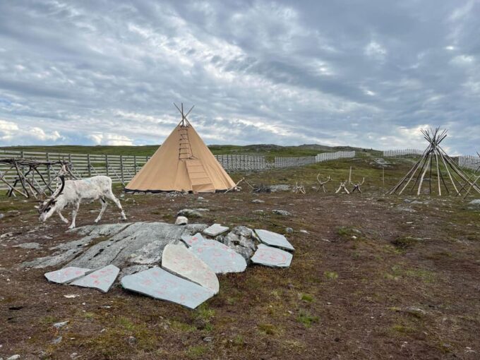 Reindeer and Stories: A Sami Cultural Adventure - Frequently Asked Questions