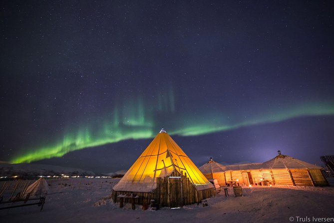 Reindeer Camp Dinner With Chance of Northern Lights in Tromso - Feeding the Reindeer Herd