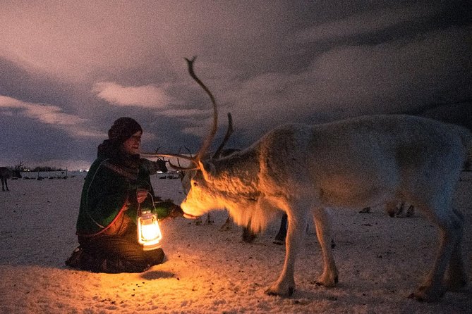 Reindeer Camp Dinner With Chance of Northern Lights in Tromso - Chance to Witness the Northern Lights