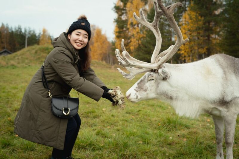 Reindeer Farm Visit With Professional Photographer - Tour Highlights