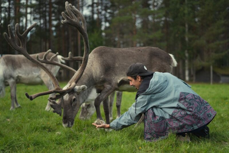 Reindeer Farm Visit With Professional Photographer - Professional Photography