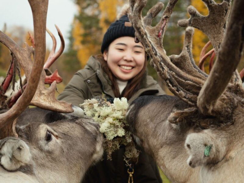 Reindeer Farm Visit With Professional Photographer - Customer Feedback