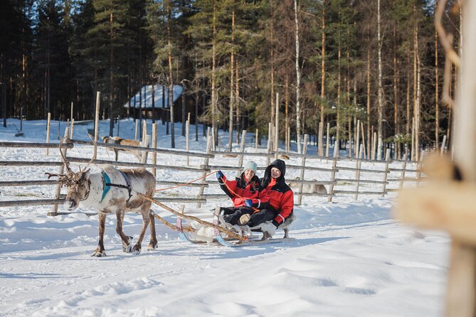 Reindeer Farm Visit With Sledge Ride - Accessibility and Accommodations