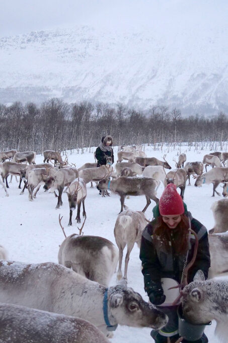Reindeer Feeding and Sami Experience With Lunch - Sami Culture and Traditions
