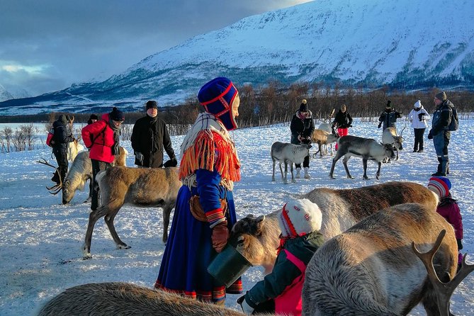 Reindeer Feeding & Saami Culture - Inclusions and Meeting Details