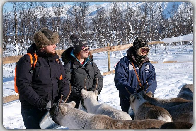 Reindeer Feeding & Saami Culture - Starting and Ending Point