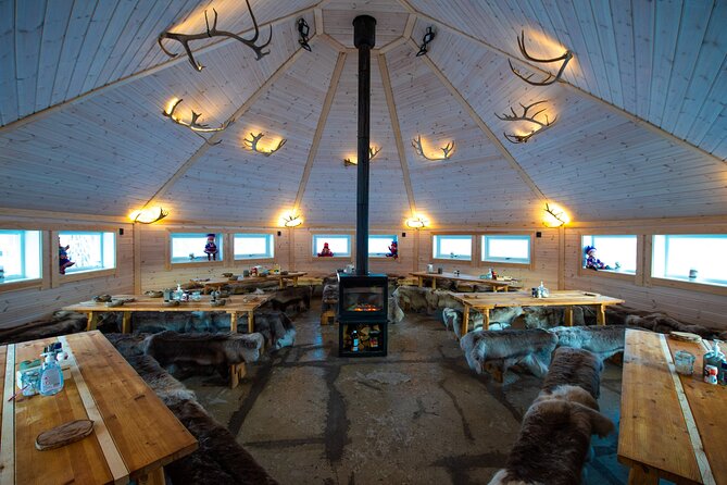 Reindeer Feeding & Saami Culture - Reindeer Feeding and Interaction