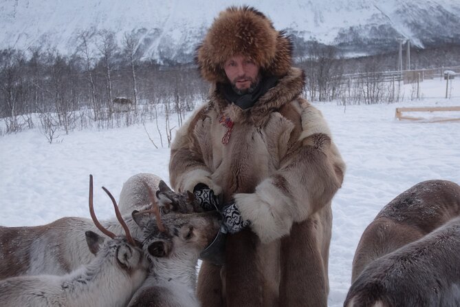 Reindeer Feeding & Saami Culture - Saami Culture and Traditions