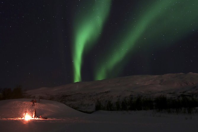 Reindeer Feeding & Saami Culture With Chance for Northern Lights - Northern Lights Sighting Potential