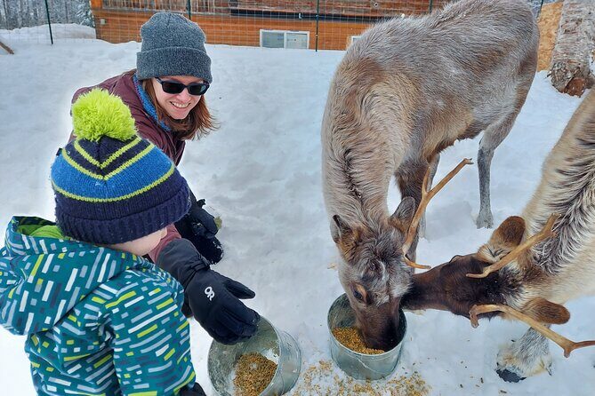 Reindeer Meet and Feed - Talkeetna - What Makes This Tour Special?