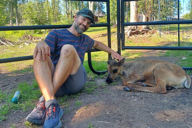 Reindeer Meet and Feed - Talkeetna - The Sum Up: An Authentic and Heartfelt Alaska Experience