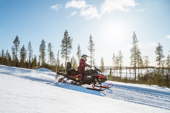 Reindeer Safari With Snowmobile and Cross the Arctic Circle Tour From Rovaniemi - Included Experiences