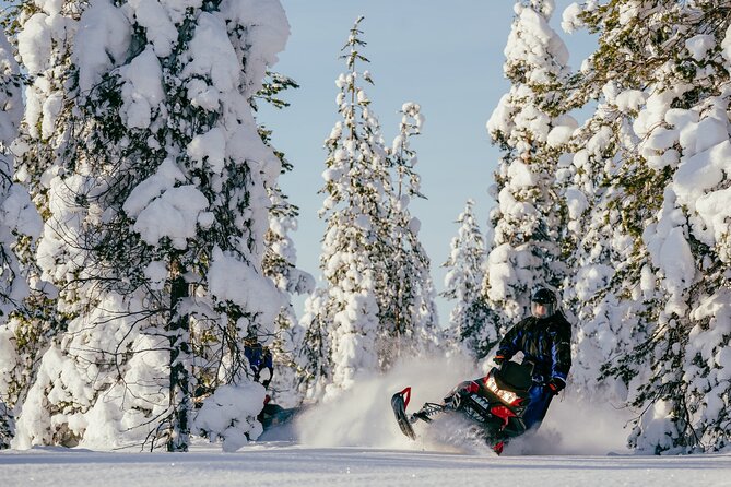 Reindeer Safari With Snowmobile and Cross the Arctic Circle Tour From Rovaniemi - Meeting and Pickup Details