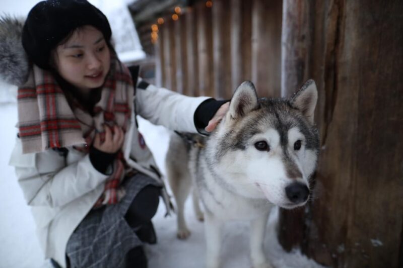 Reindeers, Husky and Santa Claus Village Summer Combo Tour - Included Services