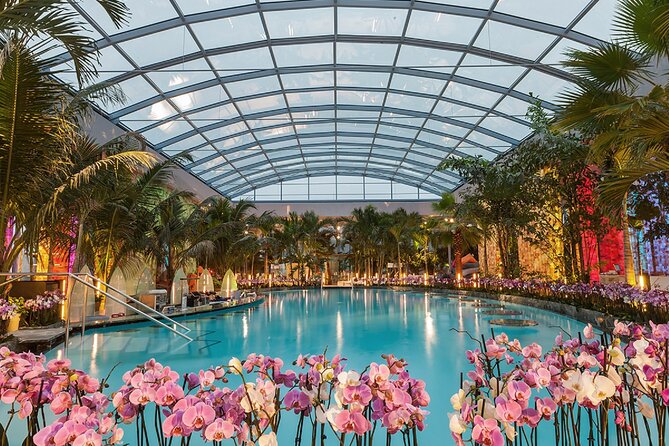 Relax and Fun at Thermal Spa Bucharest (Admission Ticket) - Key Points