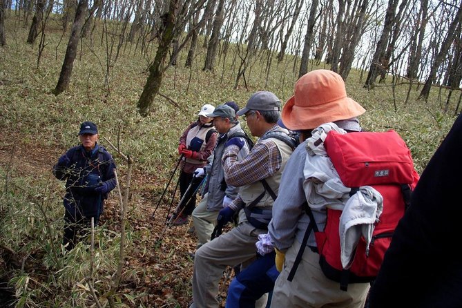 Relax and Refresh in Karuizawa Forest! Shinanoji Down Trekking for Two People - Tour Inclusions