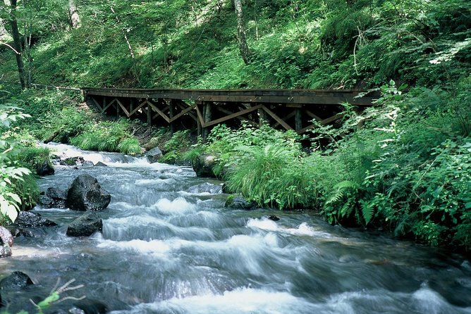 Relax and Refresh in Karuizawa Forest! Shinanoji Down Trekking for Two People - Cancellation and Refund Policy