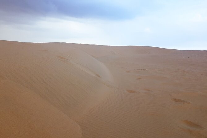 Relax Desert Safari Tour With Camel Ride and Sand Boarding - Tour Recommendations