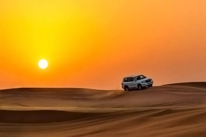 Relax Desert Safari Tour With Camel Ride and Sand Boarding - Traveler Reviews