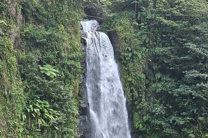 Relax in Hot Springs and swim in Titou Gorge and Trafalgar Falls - Transport, Timing, and Group Size