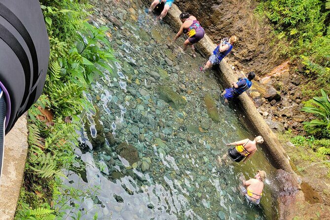 Relax in Hot Springs and swim in Titou Gorge and Trafalgar Falls - What Travelers Say: Authentic Experiences and Tips