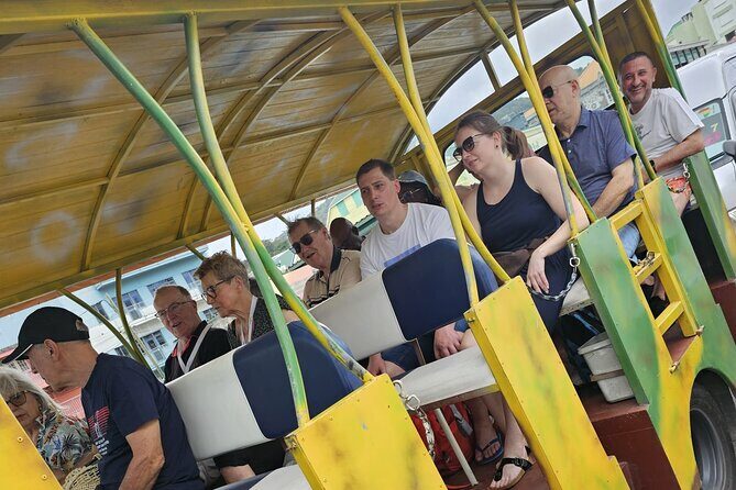 Relax in Hot Springs and swim in Titou Gorge and Trafalgar Falls - The Sum Up: Is This Tour Right for You?