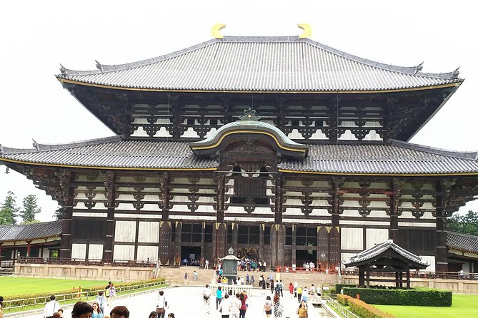 Relax in Nara: Deer Park, Todai-ji Temple and Merchants Town - Start Time