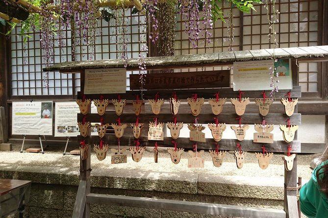 Relax in Nara: Deer Park, Todai-ji Temple and Merchants Town - Feeding the Friendly Deer