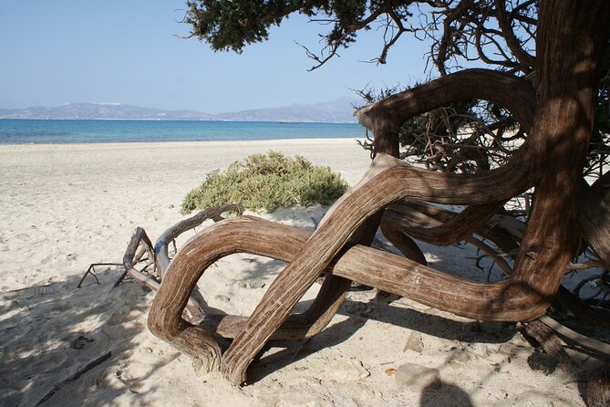 Relax in Nature - Chrissi Island Day Cruise - Tour Guide and Services