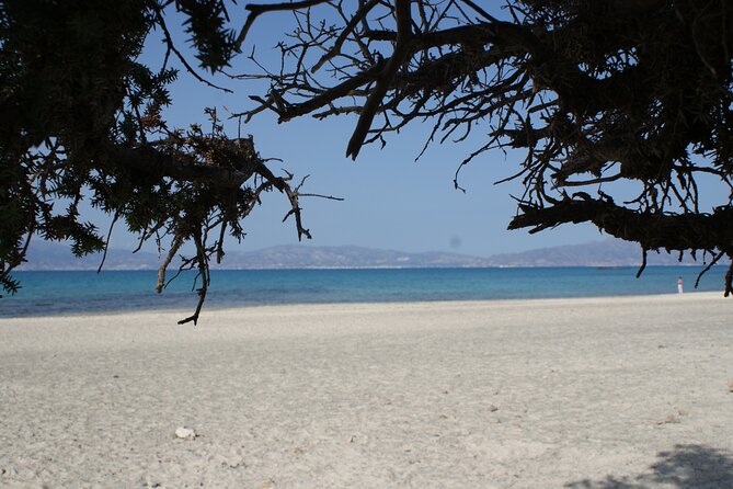 Relax in Nature - Chrissi Island Day Cruise - Additional Considerations