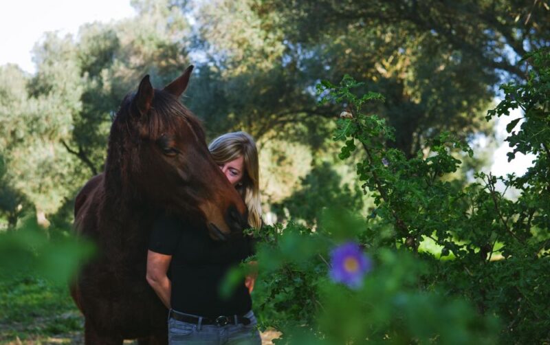 Relax & Mindfulness With Horses in Vejer De La Frontera - Key Points