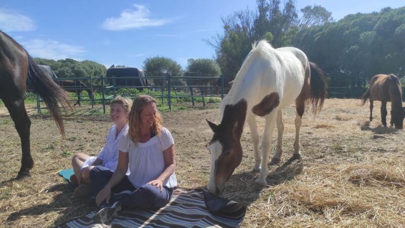Relax & Mindfulness With Horses in Vejer De La Frontera - Important Information