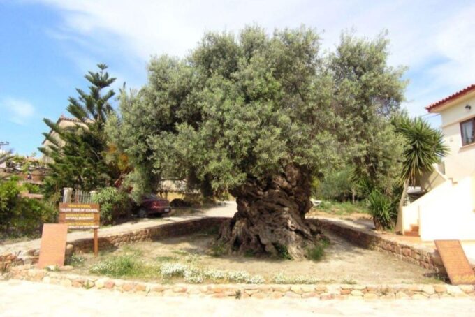 Relaxation Combo Pack (Falassarna Sunset - Elafonisi - Tasting) - Frequently Asked Questions