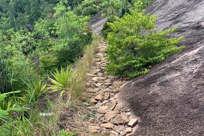 Relaxed Hike to Anse Major | Mahé | Seychelles | Private Tour | Perfect - Hike Details