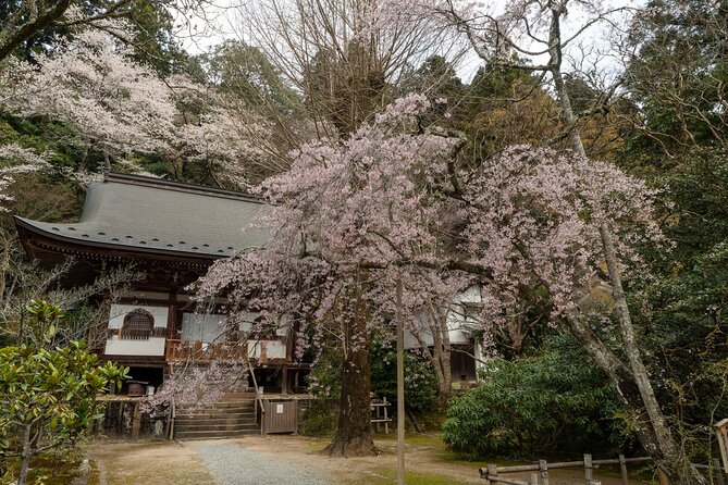 Relaxed Nara Tour From Kyoto Hasedera and Muroji Temples - Exploring the Historic Muroji Temple