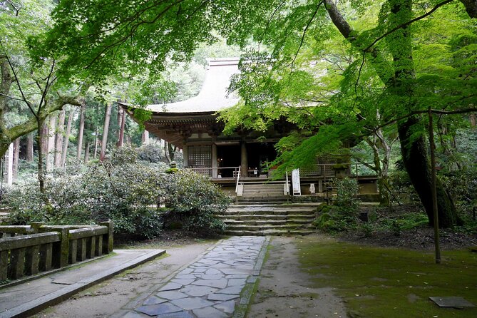 Relaxed Nara Tour From Kyoto Hasedera and Muroji Temples - Experiencing Japanese Cuisine During Lunch