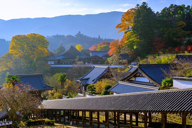 Relaxed Nara Tour From Kyoto Hasedera and Muroji Temples - Tips for Preparing for the Tour